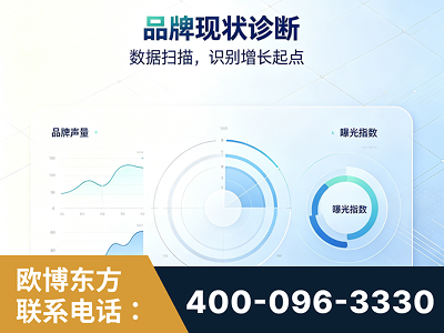 绵竹-品牌现状诊断