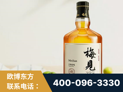 绵竹-梅见青梅酒